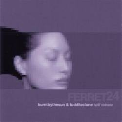 Burnt By The Sun : Luddite Clone - Burnt By The Sun